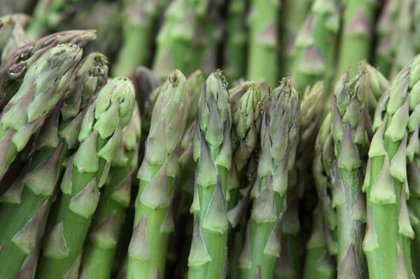 Asperge blanche/verte VRAC - FRANCE